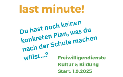Freiwilligendienste Kultur und Bildung.                                           Letzte freie Plätze ab 1. September 2025!